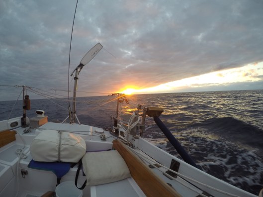 DCIM100GOPROGOPR0054.