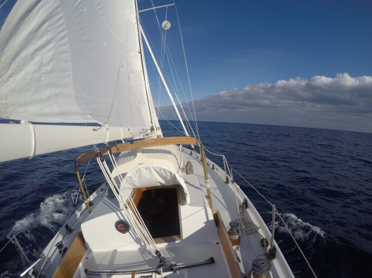 DCIM100GOPROGOPR0044.