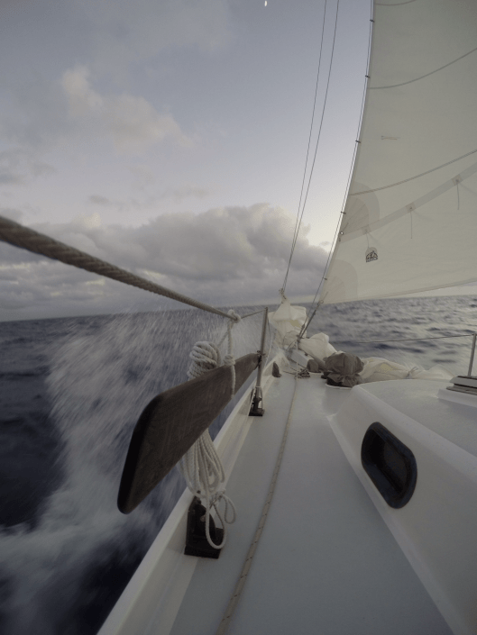 9788AE71-B0C5-4D91-9169-FE224C6B3881