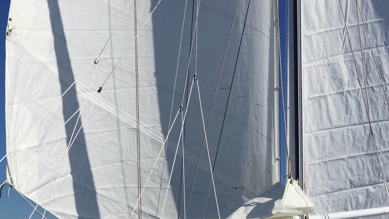 D51CFB36-0E45-4D61-A31A-2BAEB4CCEC8E