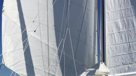 D51CFB36-0E45-4D61-A31A-2BAEB4CCEC8E