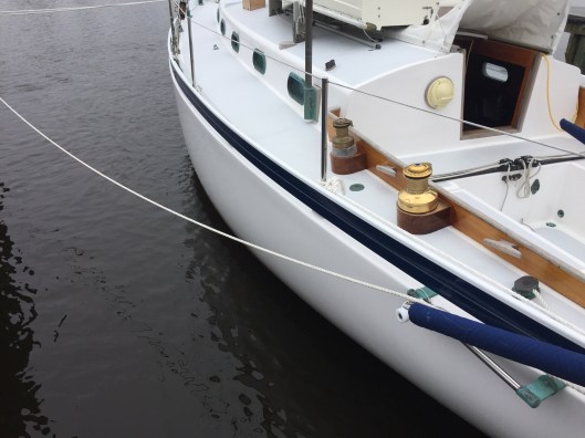 73B9015F-EDC9-46EF-B542-DB7124166749