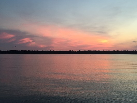 106683AD-F345-4DED-89D7-D2B6C775F186