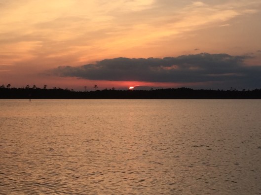 4774BA34-A9CA-4802-AF46-26DD84CA4721