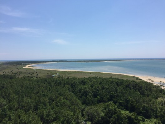 81DC9BFD-491C-4257-8AEC-E45B417A149F