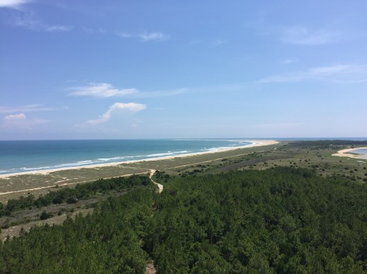 872F55A5-5588-4ED1-B00A-C2CC6599C78E