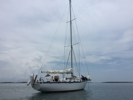 93D2832E-2B63-4878-8F7E-094BF38C2459