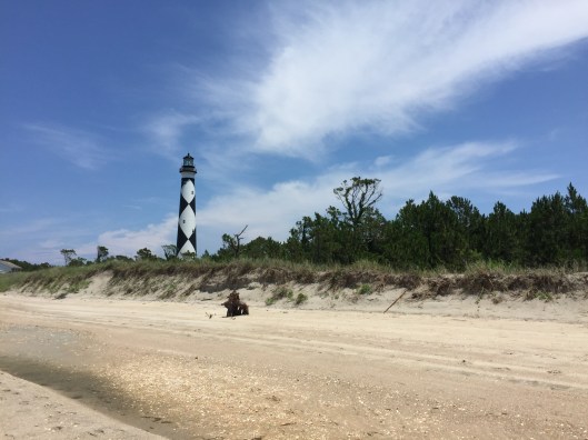 93E8DCC2-65A3-4E56-8418-AED82B776939