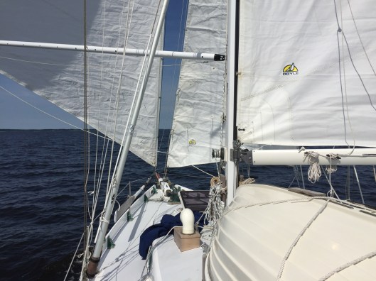 B830EF80-1690-4322-91BE-111CB3A47B54