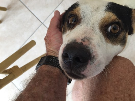 13CB0C6C-82ED-4382-AE58-D41C74768863