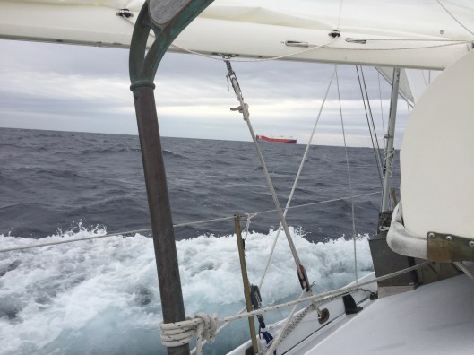 A7D97F58-E7EF-446C-B368-2B406CAB6DD4