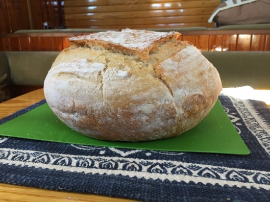 46CDC814-FFDF-480B-879C-F19819341859