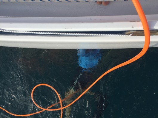 4877DE83-995D-43C7-91FF-61E80BF82BBD